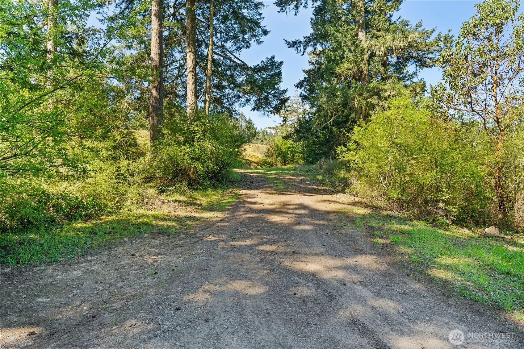 Property photo for 0 Woodpecker Ln, Friday Harbor photo 2