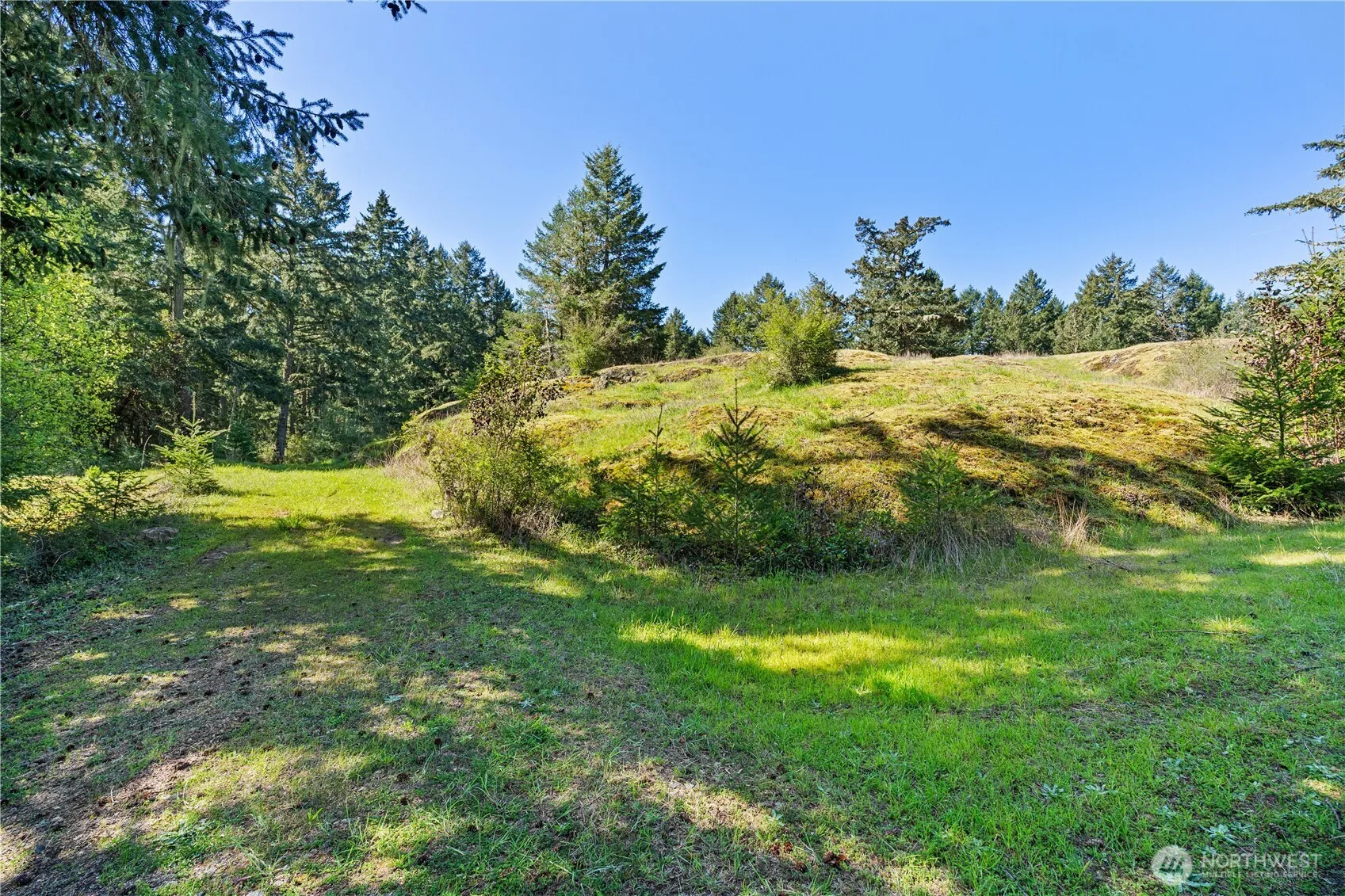 Property photo for 0 Woodpecker Ln, Friday Harbor photo 3
