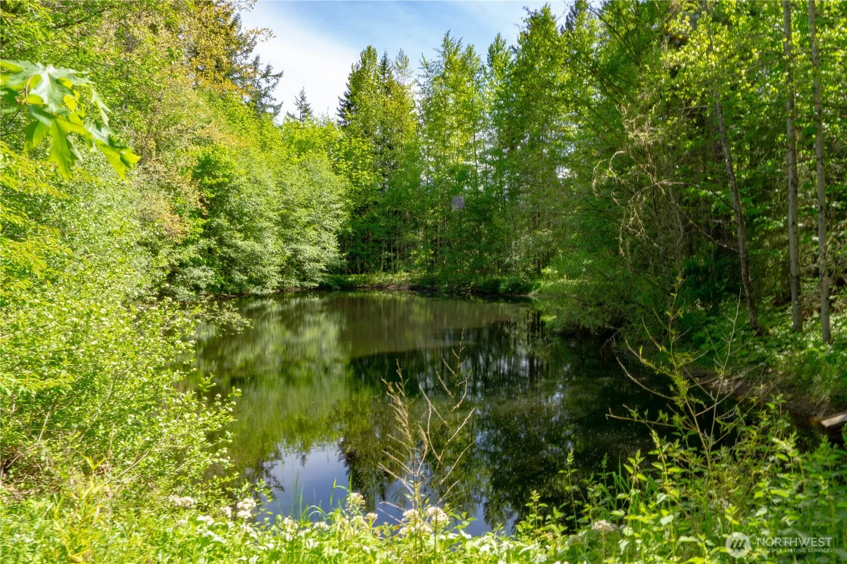 Property photo for 89 Slab Camp Road, Sequim photo 4