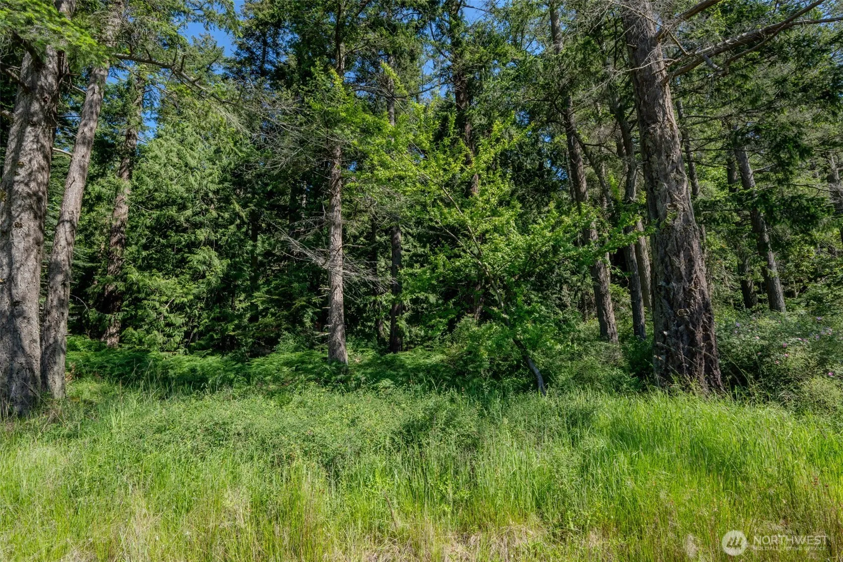 Property photo for 140 Judith Lane, Orcas Island photo 5