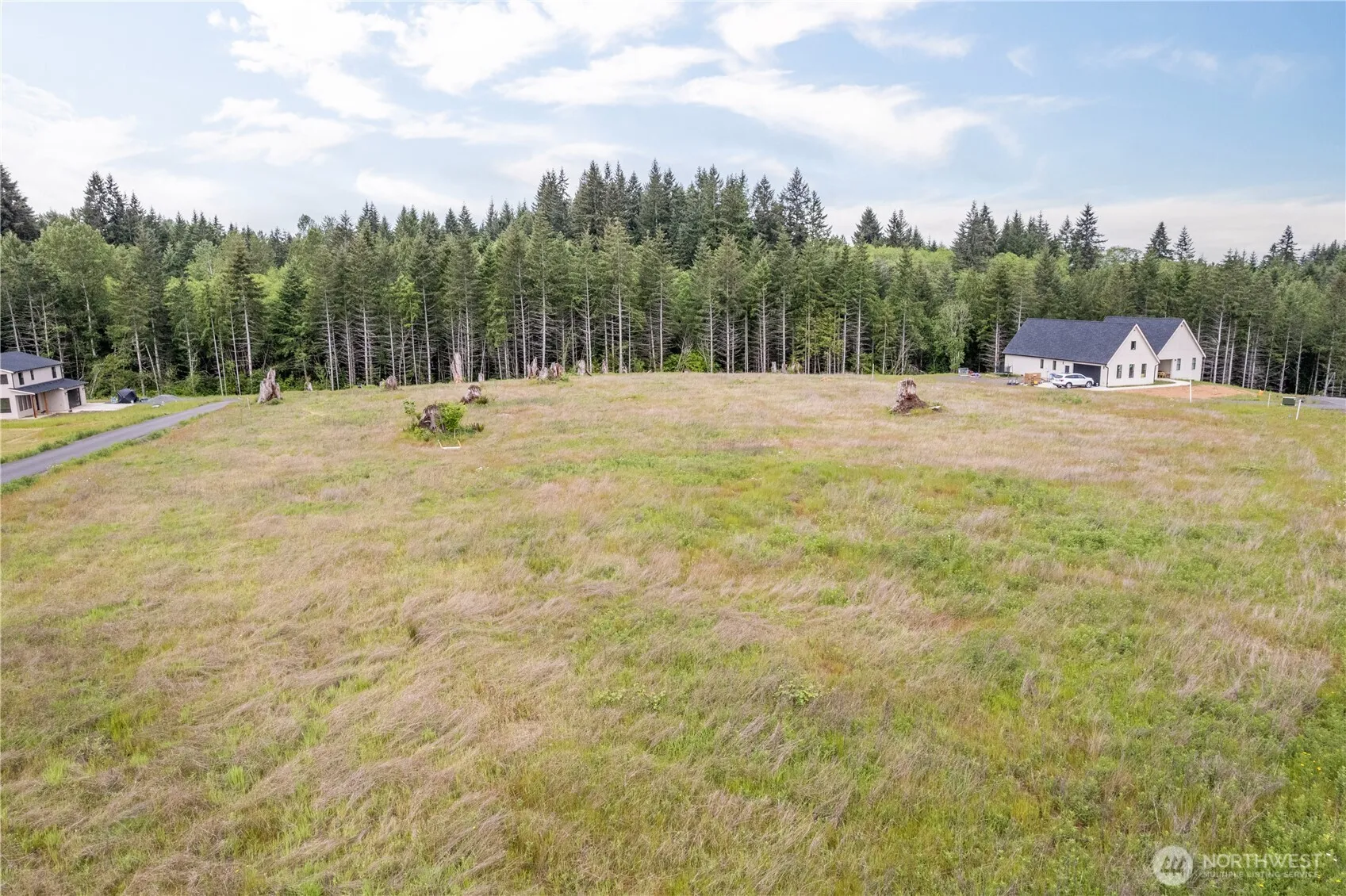 Property photo for 214 Ash Mountain Drive, Castle Rock