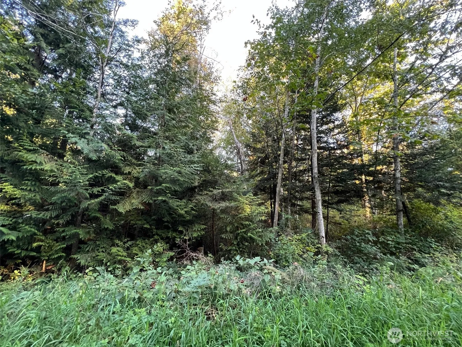Property photo for 10 Rex Street, Point Roberts