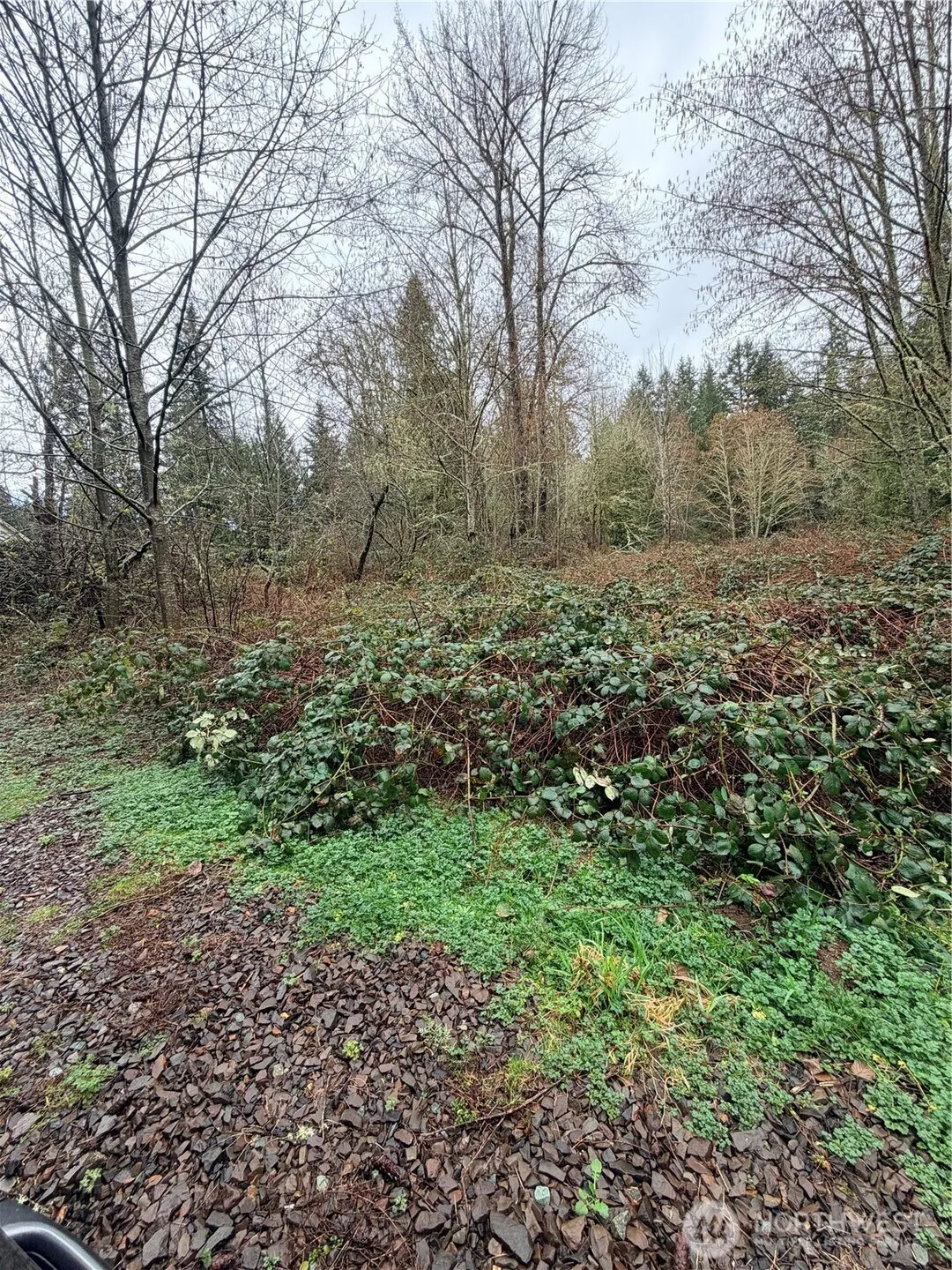 Property photo for 0 Xxxx 238th Avenue Ne, Redmond photo 3