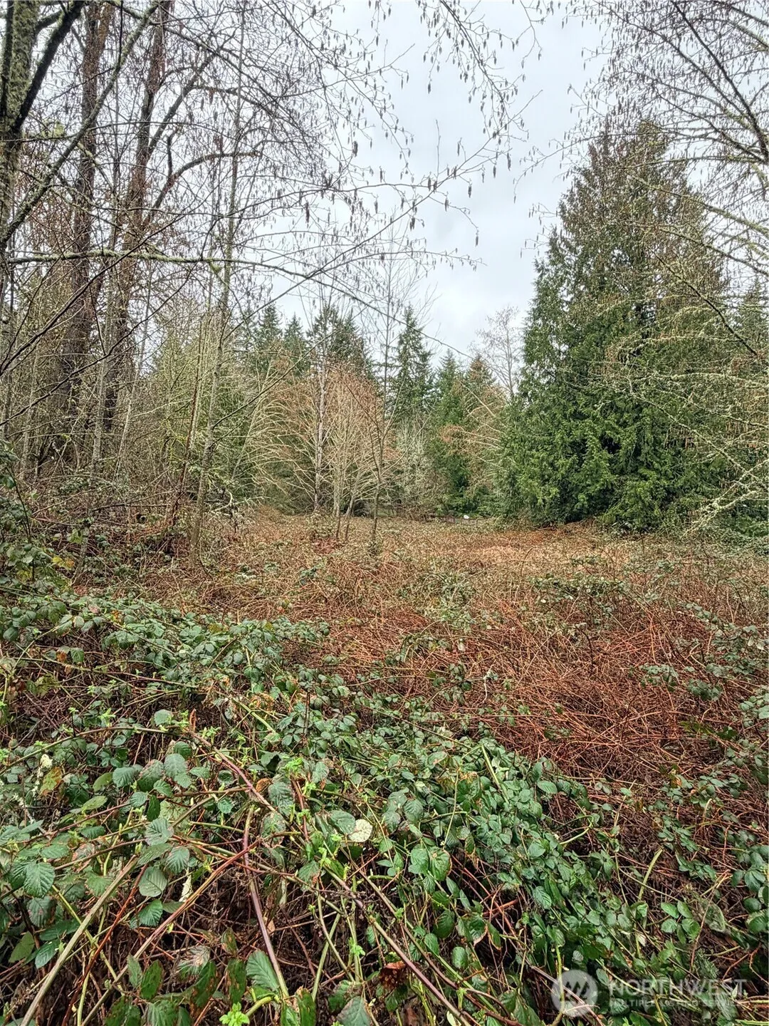 Property photo for 0 Xxxx 238th Avenue Ne, Redmond photo 5