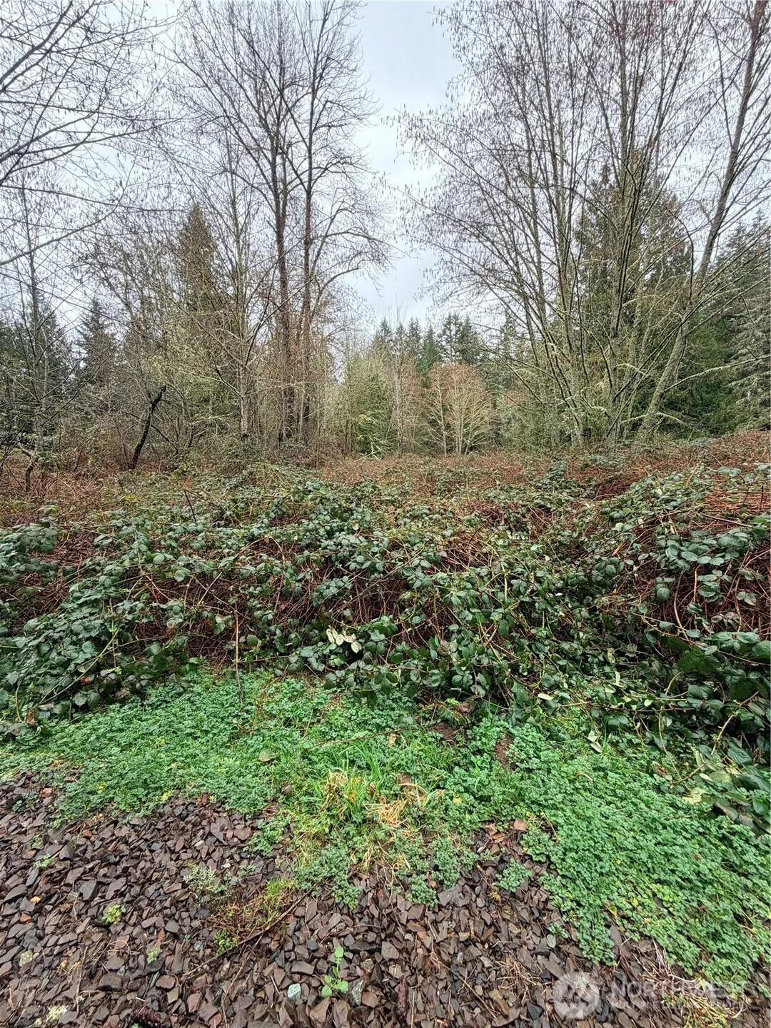 Property photo for 0 Xxxx 238th Avenue Ne, Redmond photo 2