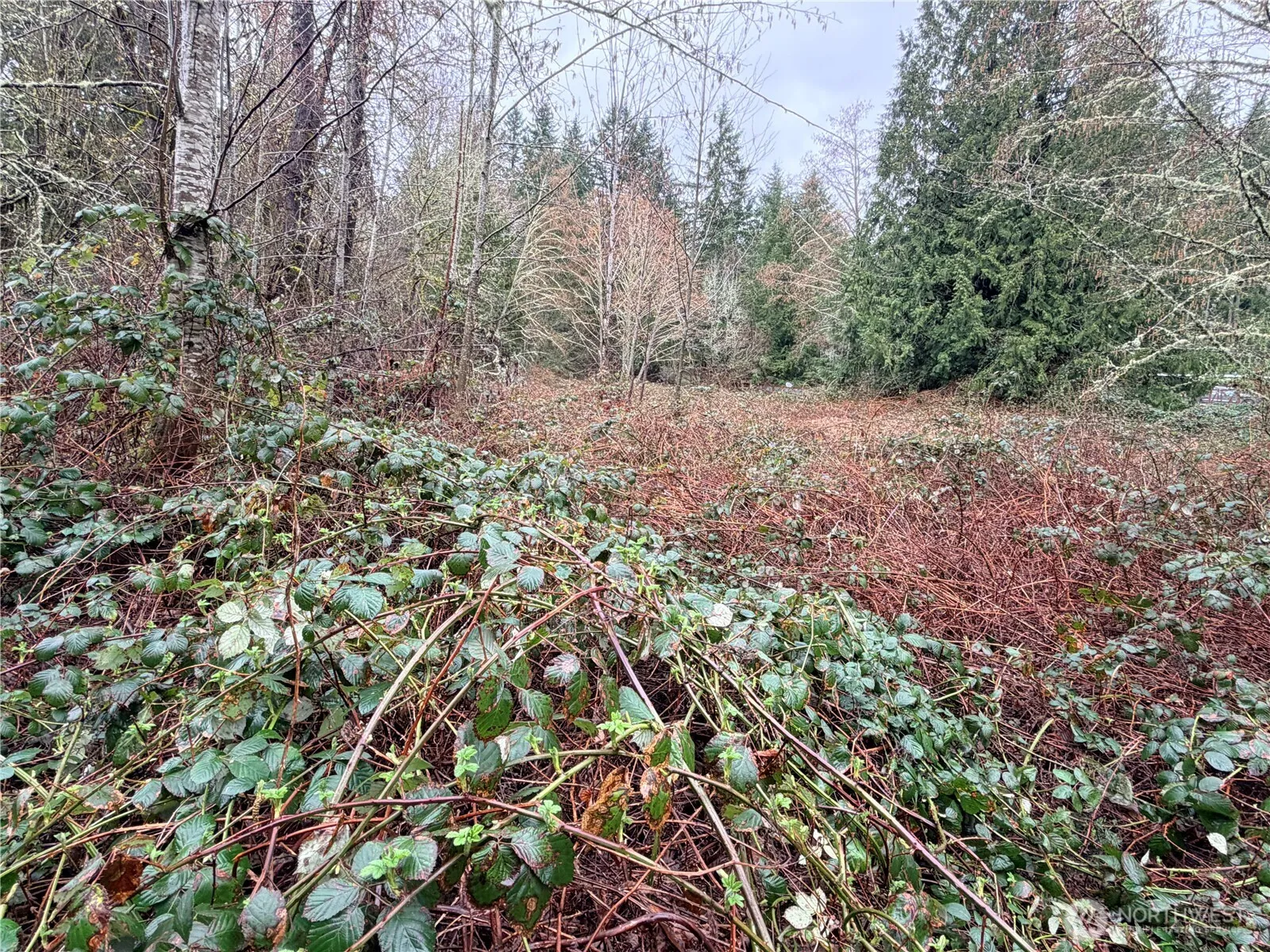 Property photo for 0 Xxxx 238th Avenue Ne, Redmond photo 4
