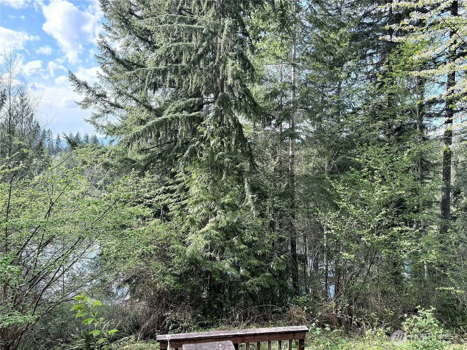 Property photo for 3780 S Mission Road W, Bremerton photo 3