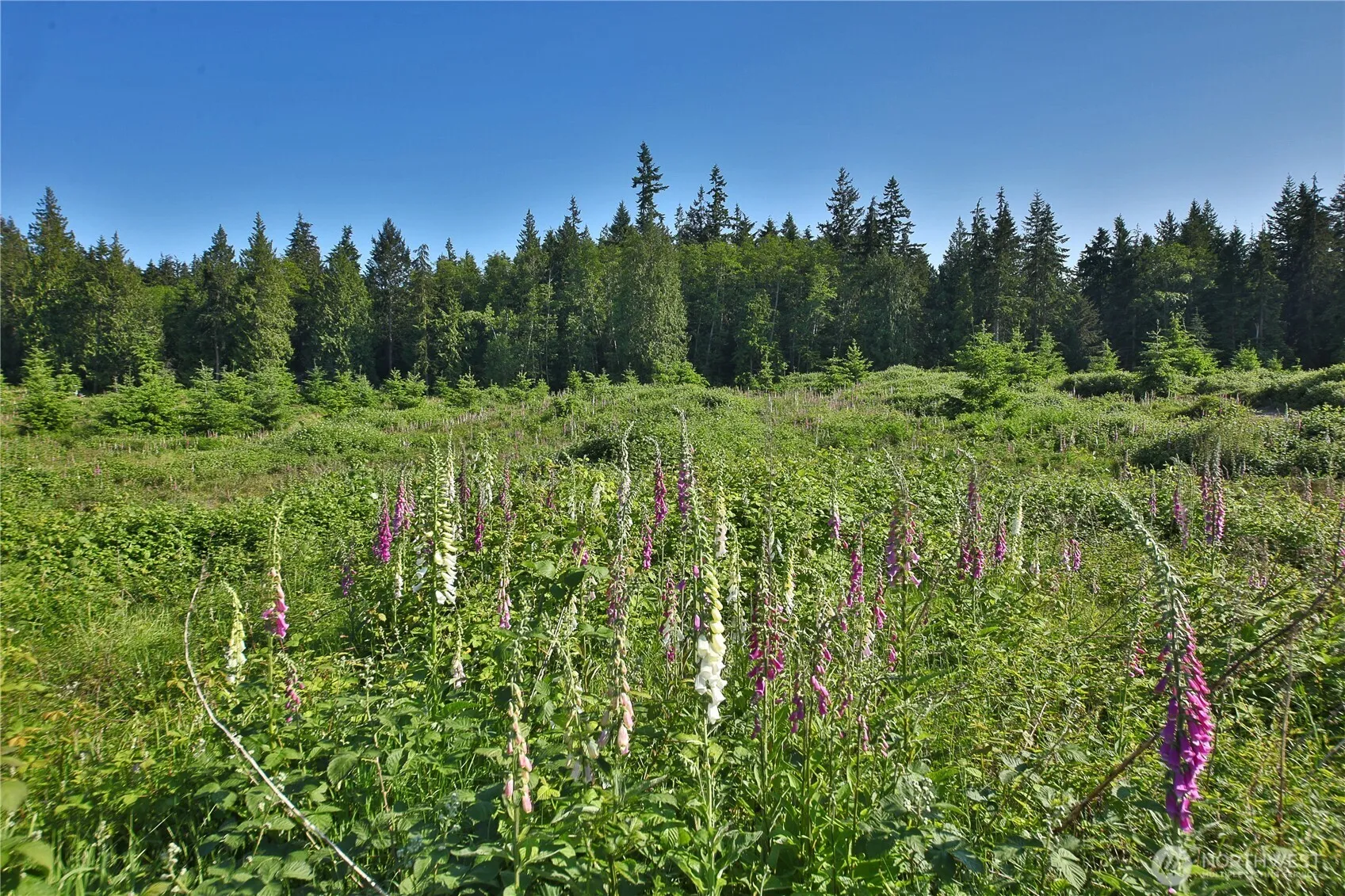 Property photo for 2062 Goodell Road, Freeland