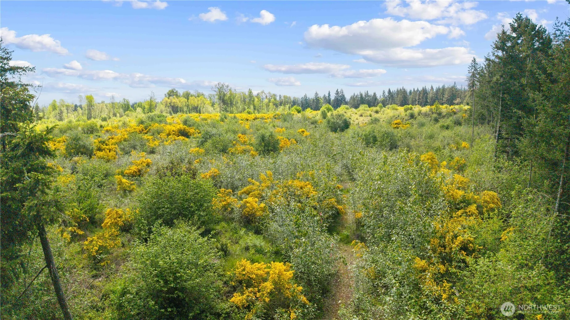 Property photo for 0 Charbonneau Lane Se, Yelm photo 4