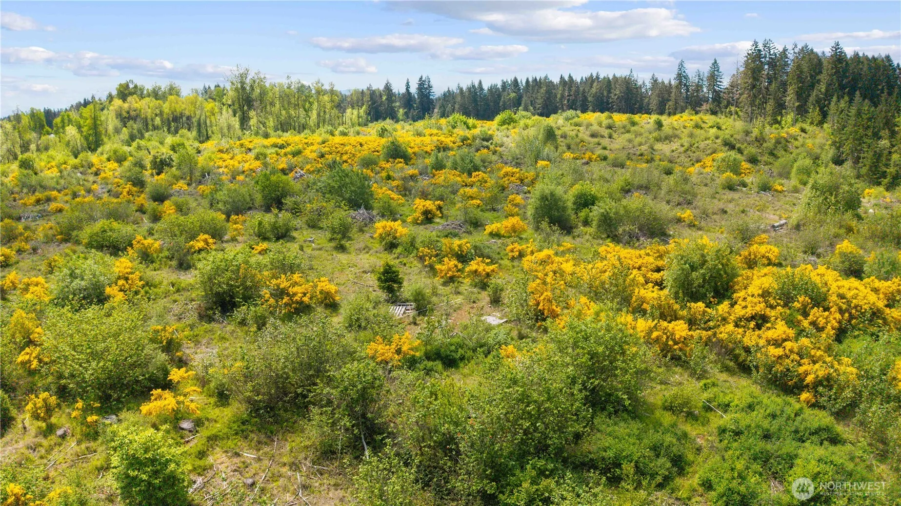Property photo for 0 Charbonneau Lane Se, Yelm photo 5