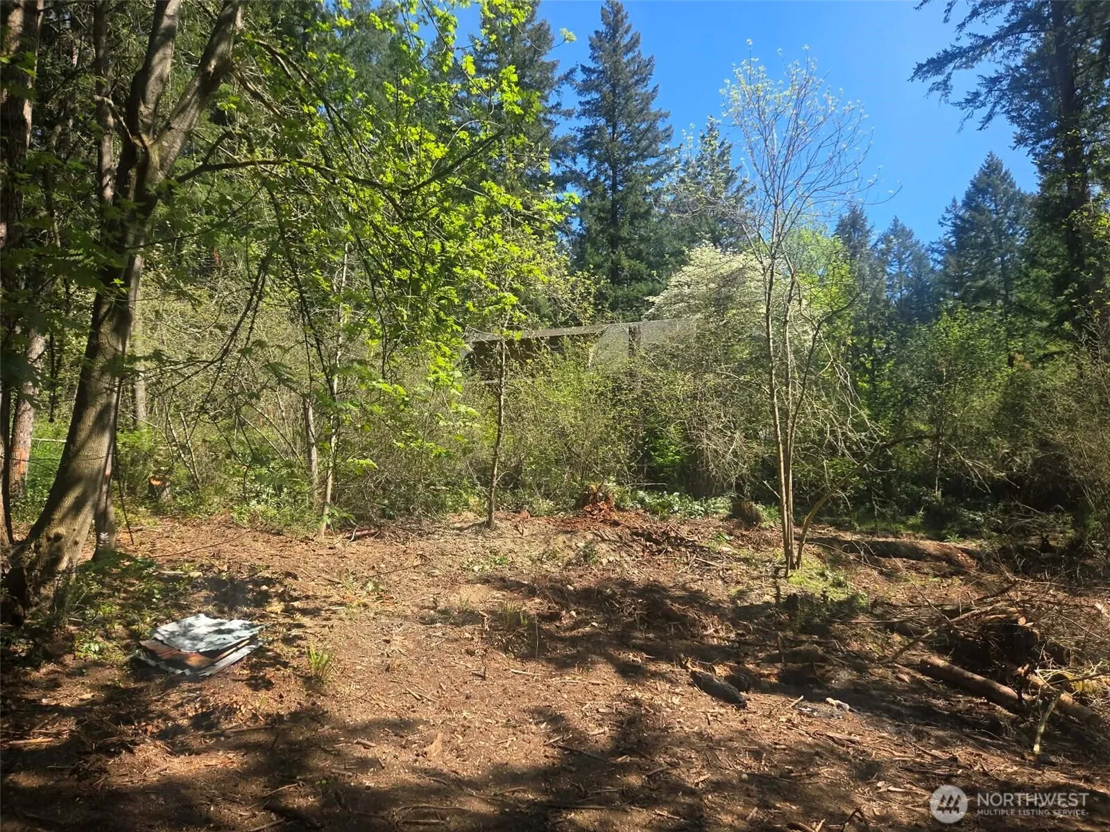 Property photo for 22439 Vale Court Se, Yelm photo 3