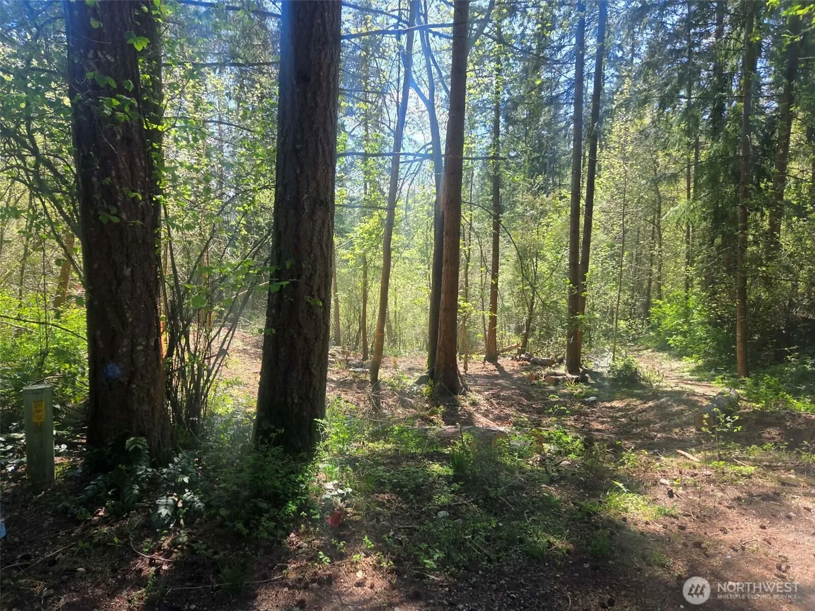 Property photo for 22439 Vale Court Se, Yelm photo 4