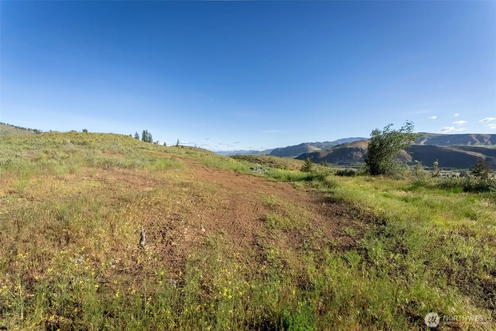 Property photo for 0 Tbd Alder Road, Twisp photo 3
