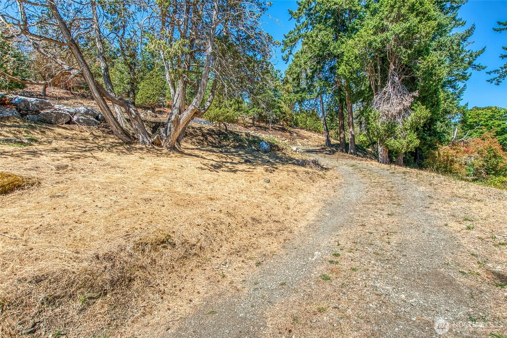 Property photo for 1024 Deer Harbor Road, Orcas Island photo 5