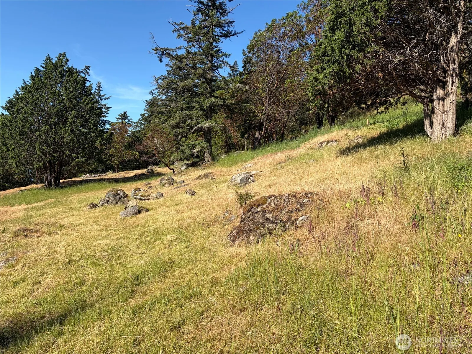Property photo for 1024 Deer Harbor Road, Orcas Island photo 2