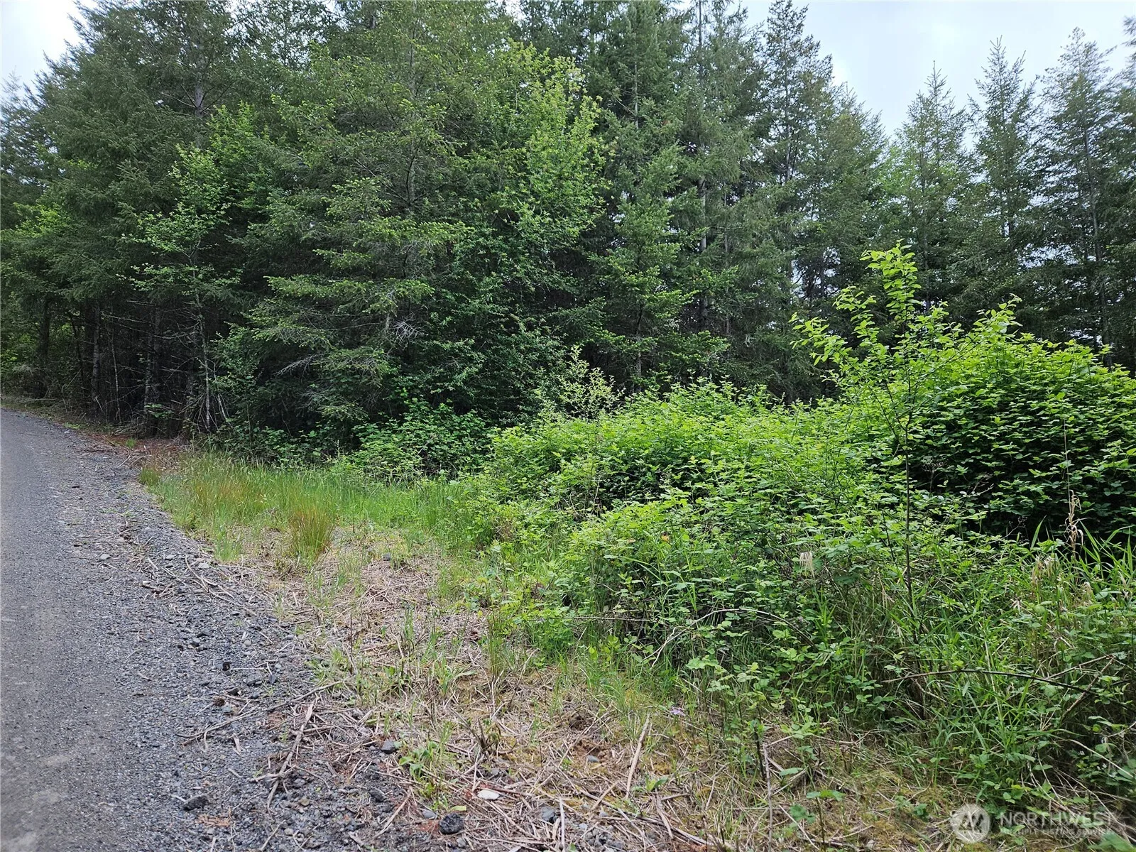 Property photo for 2 Myrtle View Lane, Chehalis