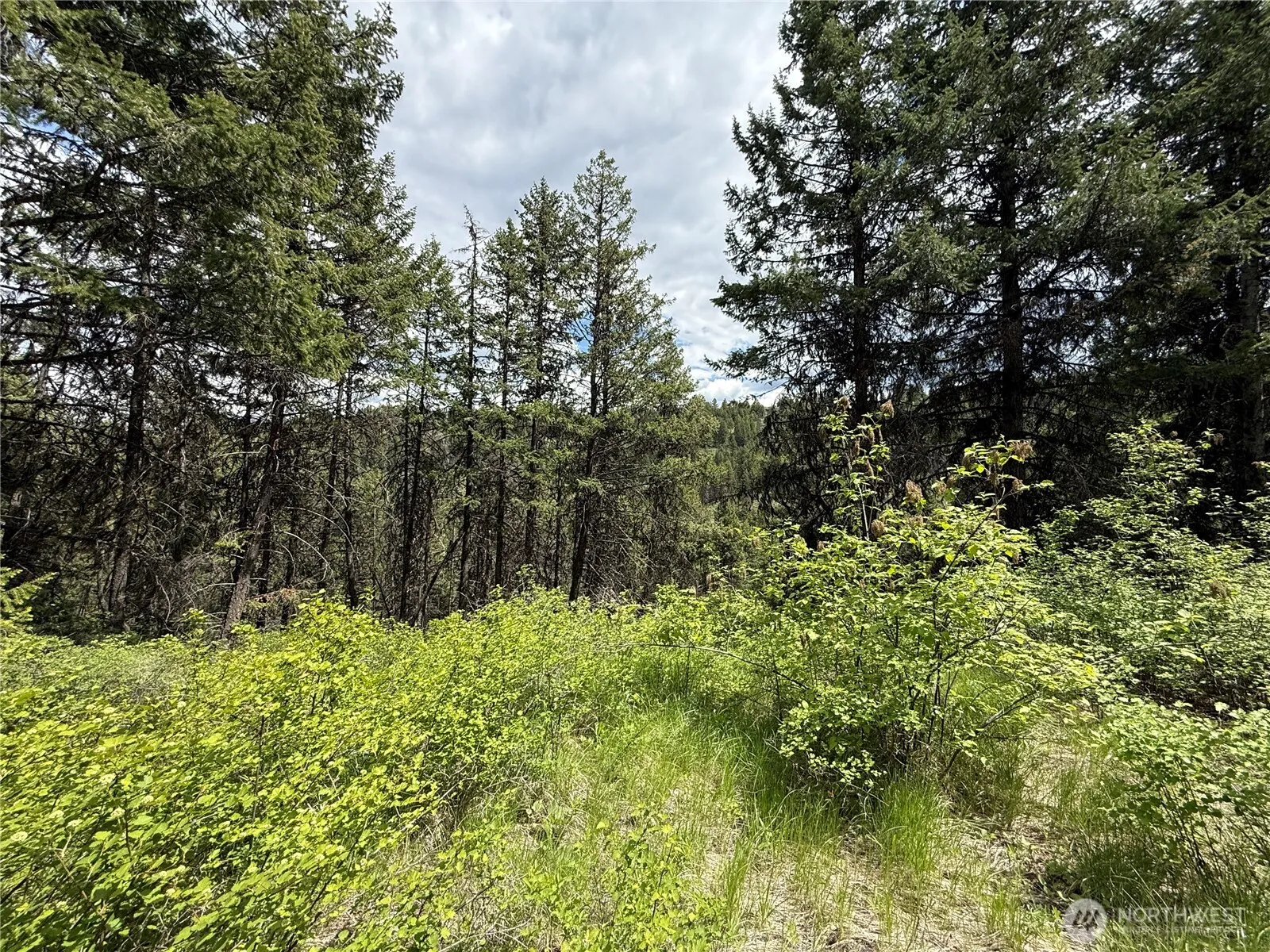 Property photo for 0 Lot 131 Slippery Hill Road, Republic