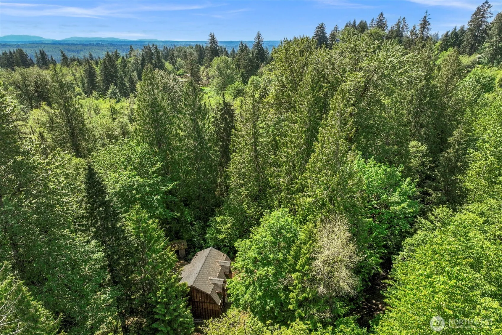 Property photo for 19150 312th Avenue Ne, Duvall photo 4