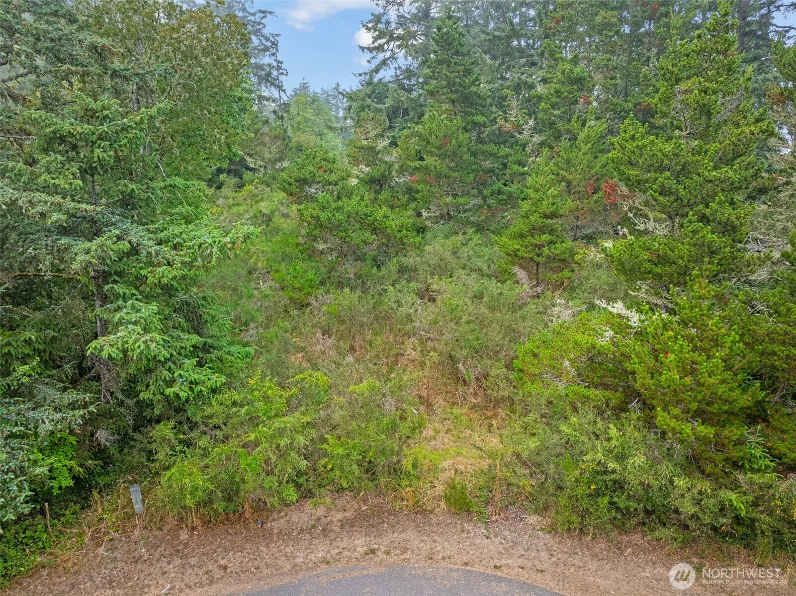 Property photo for 1016 Lola Court, Ocean Shores photo 5