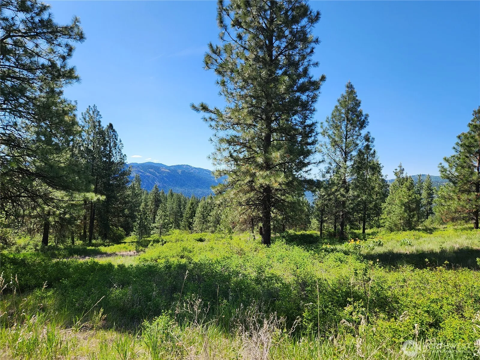 Property photo for 0 Gold Mountain Road, Republic