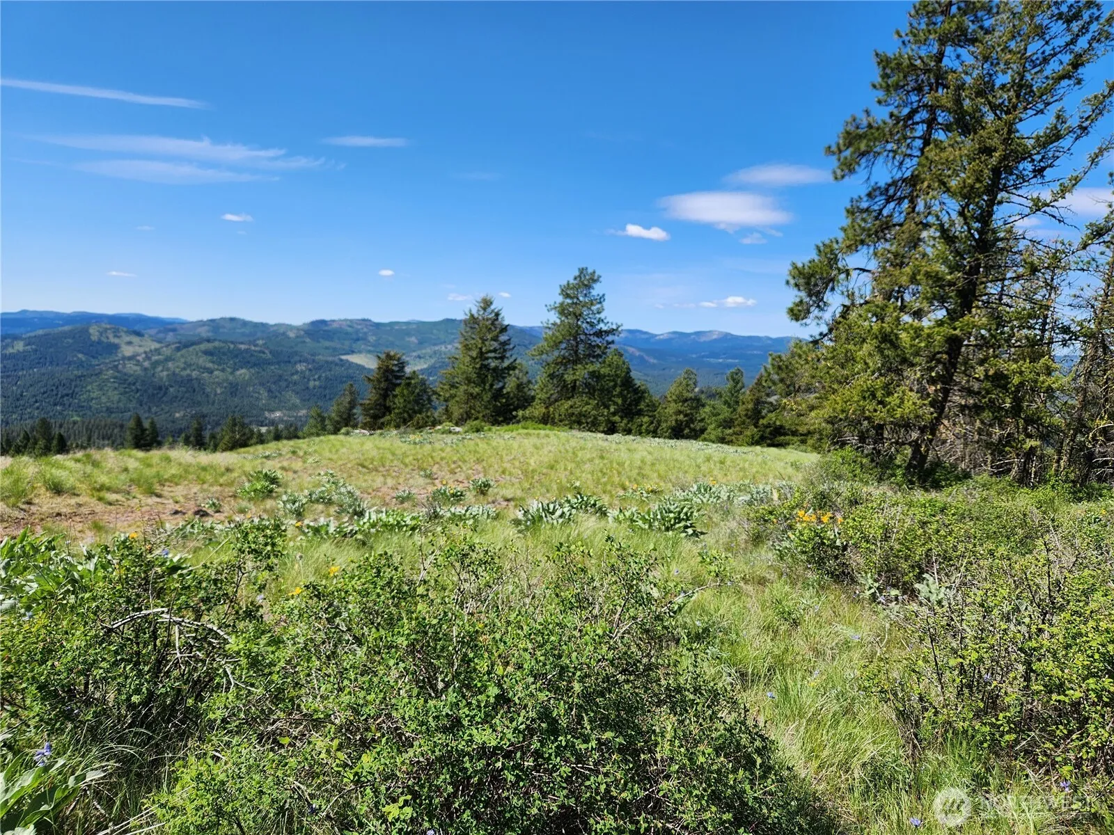 Property photo for 0 E Knob Hill Road, Republic