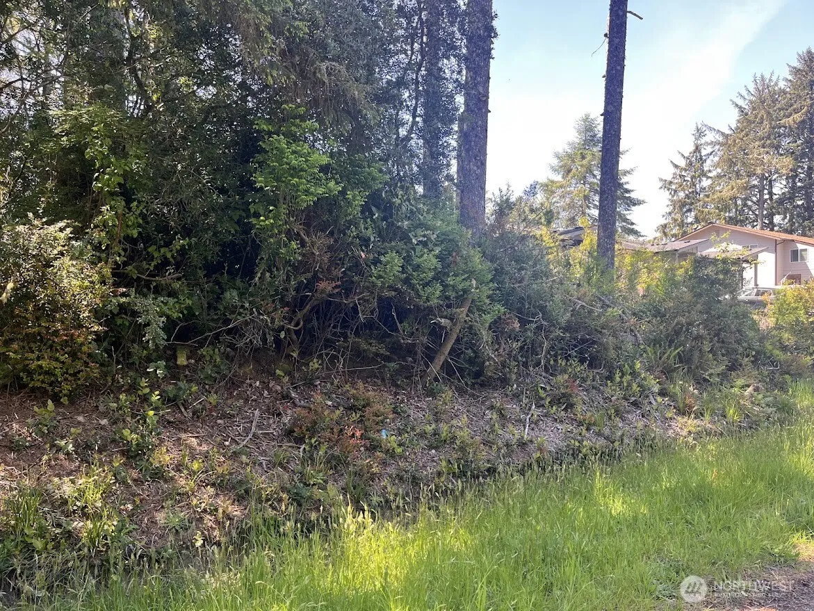 Property photo for 559 Sunset Avenue Ne, Ocean Shores