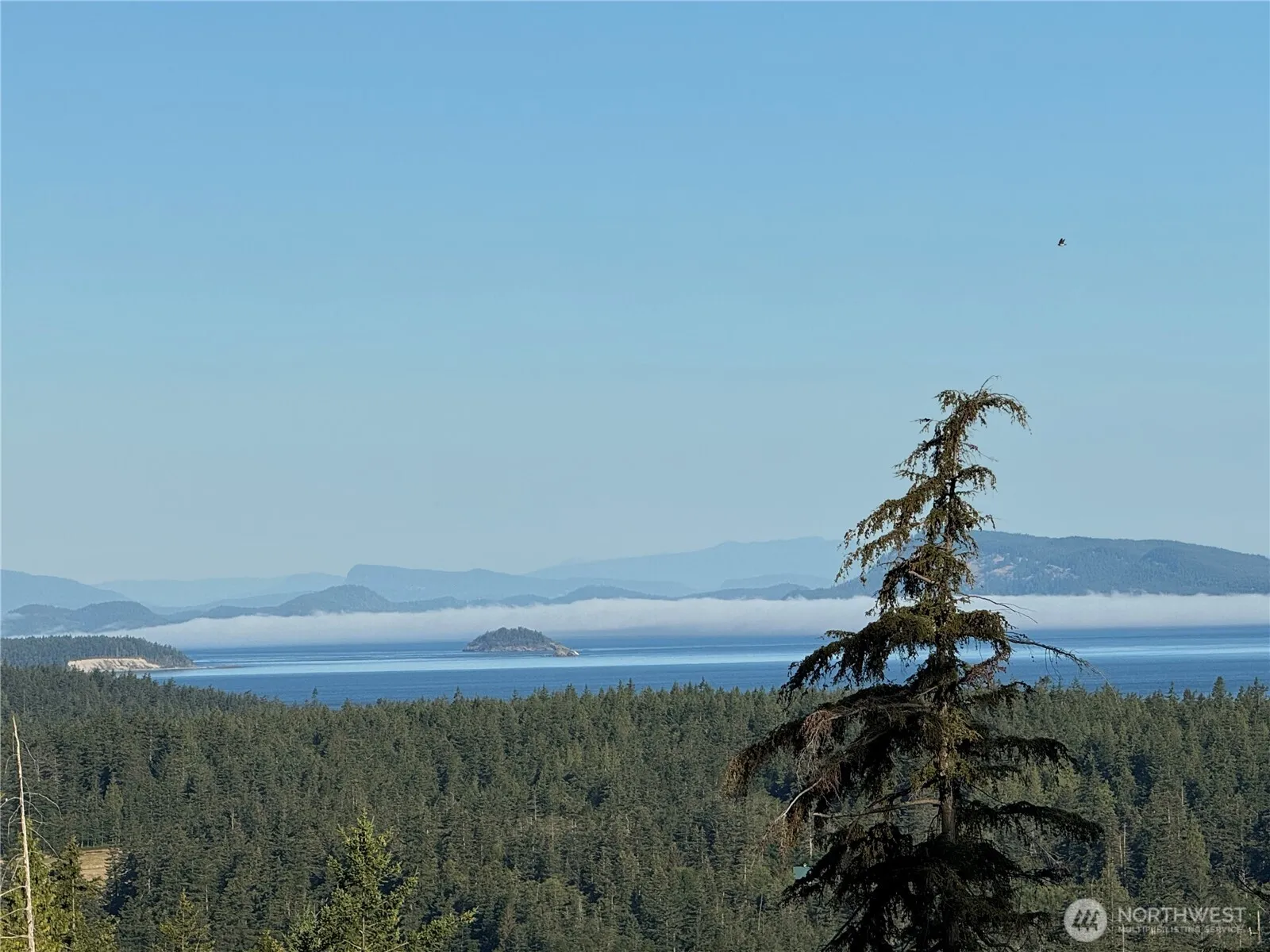 Property photo for 463 Wright Road, Orcas Island photo 3