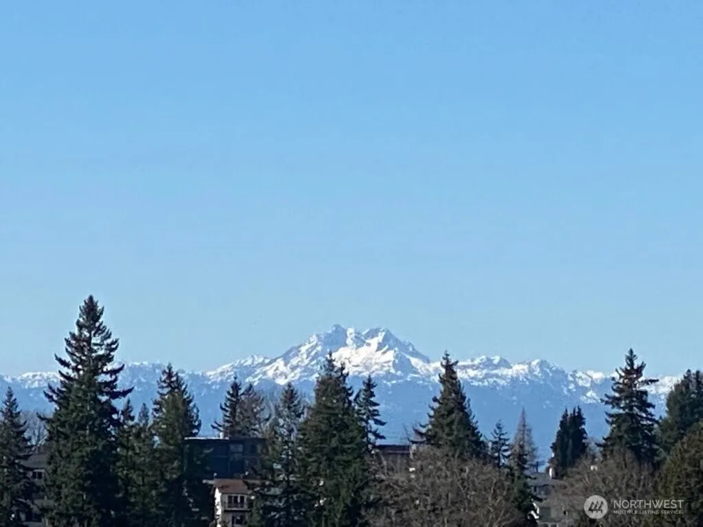 Property photo for 4409 California Avenue Sw #503, Seattle photo 5