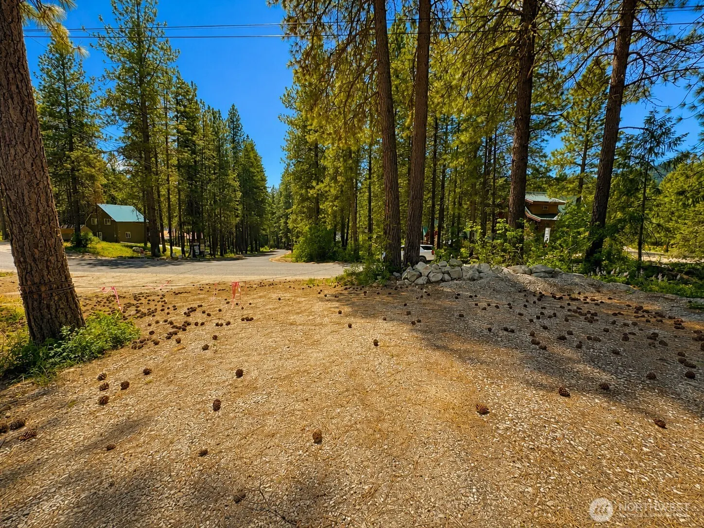 Property photo for 21606 Camp 12 Road, Leavenworth photo 2