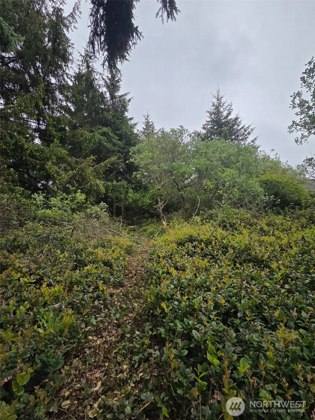 Property photo for 624 Wolf Ct Se, Ocean Shores