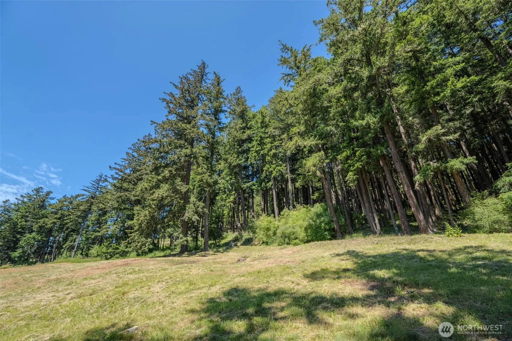 Property photo for 521 Vusario Lane, Orcas Island photo 5