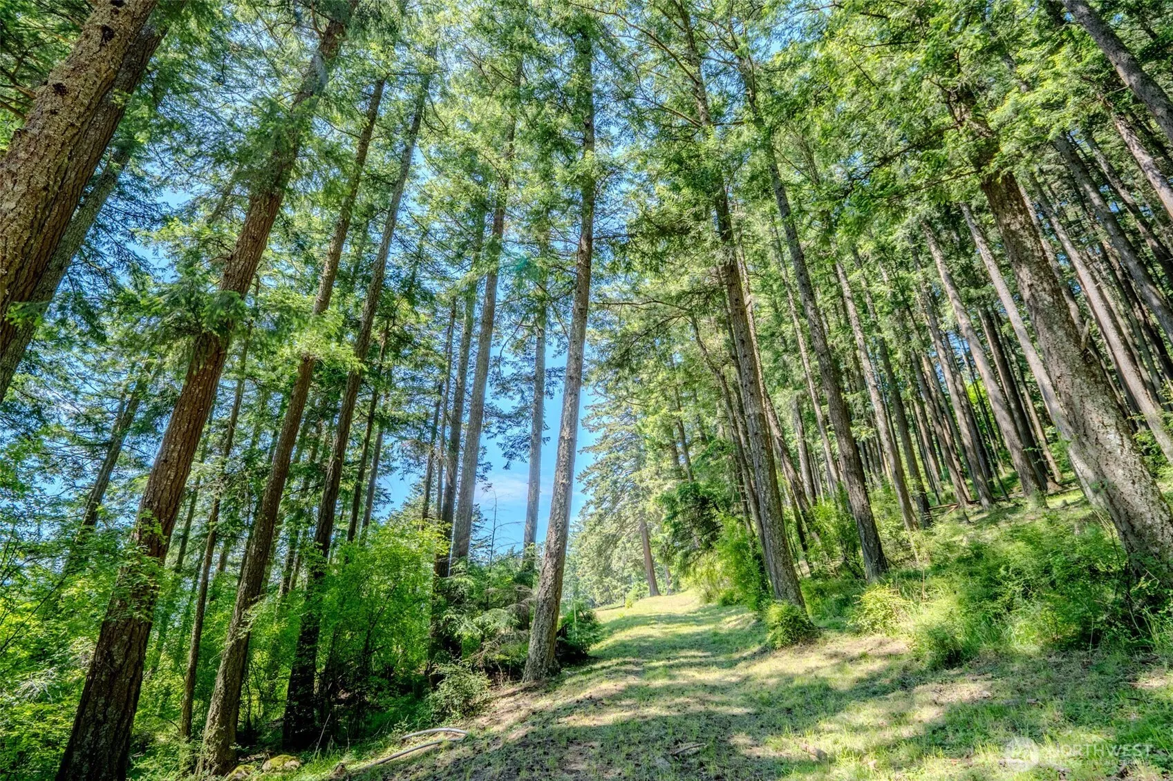 Property photo for 521 Vusario Lane, Orcas Island photo 2