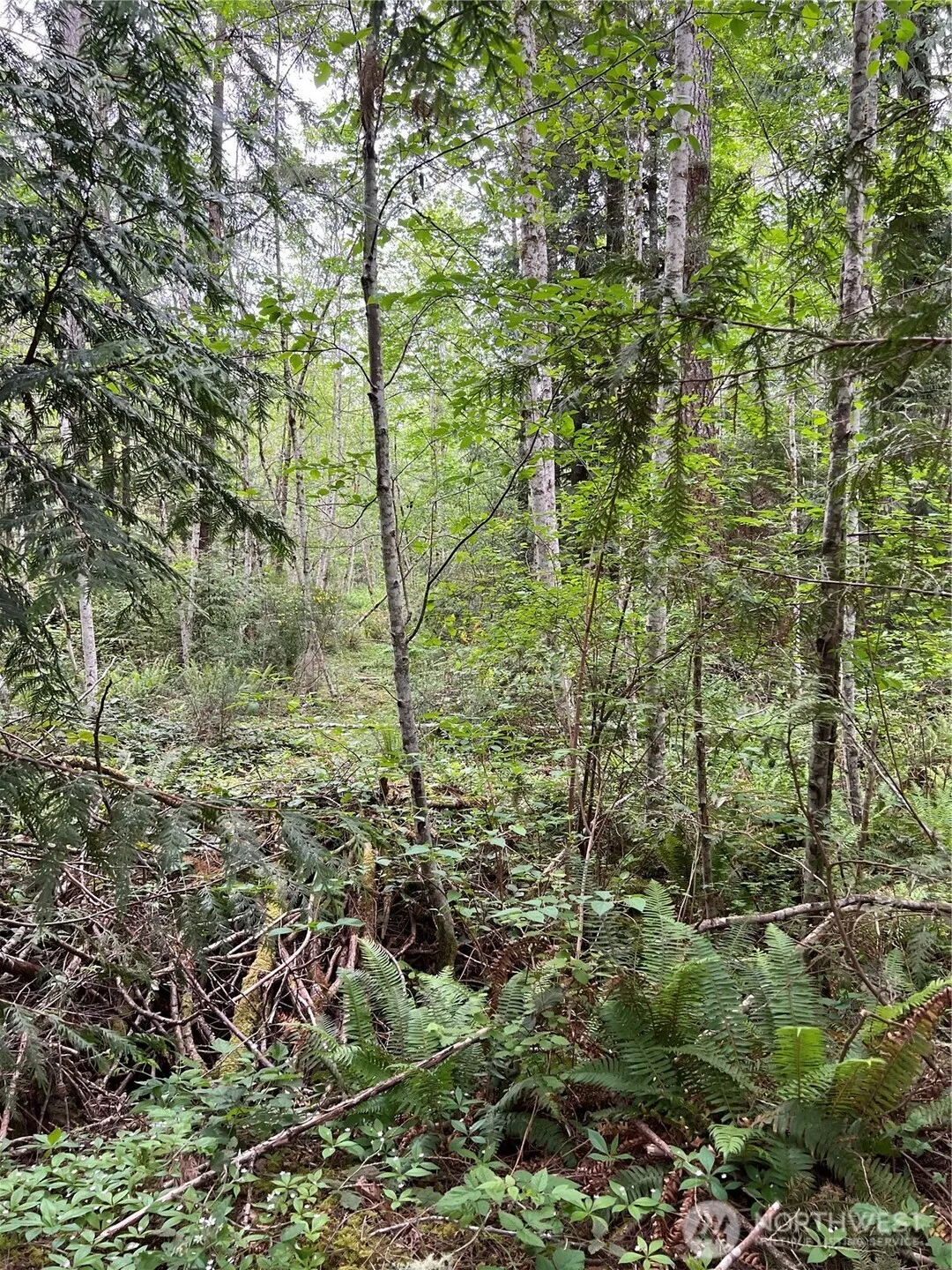 Property photo for 11111 Seabeck Highway, Bremerton photo 3