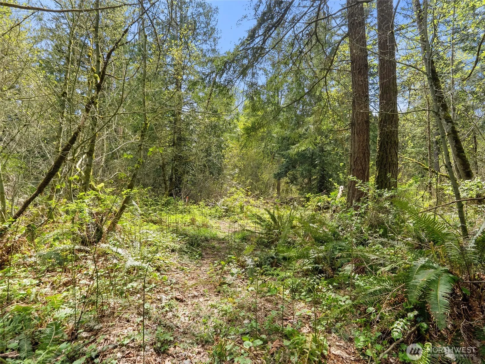 Property photo for 67 Xx 258th Avenue Ne, Redmond