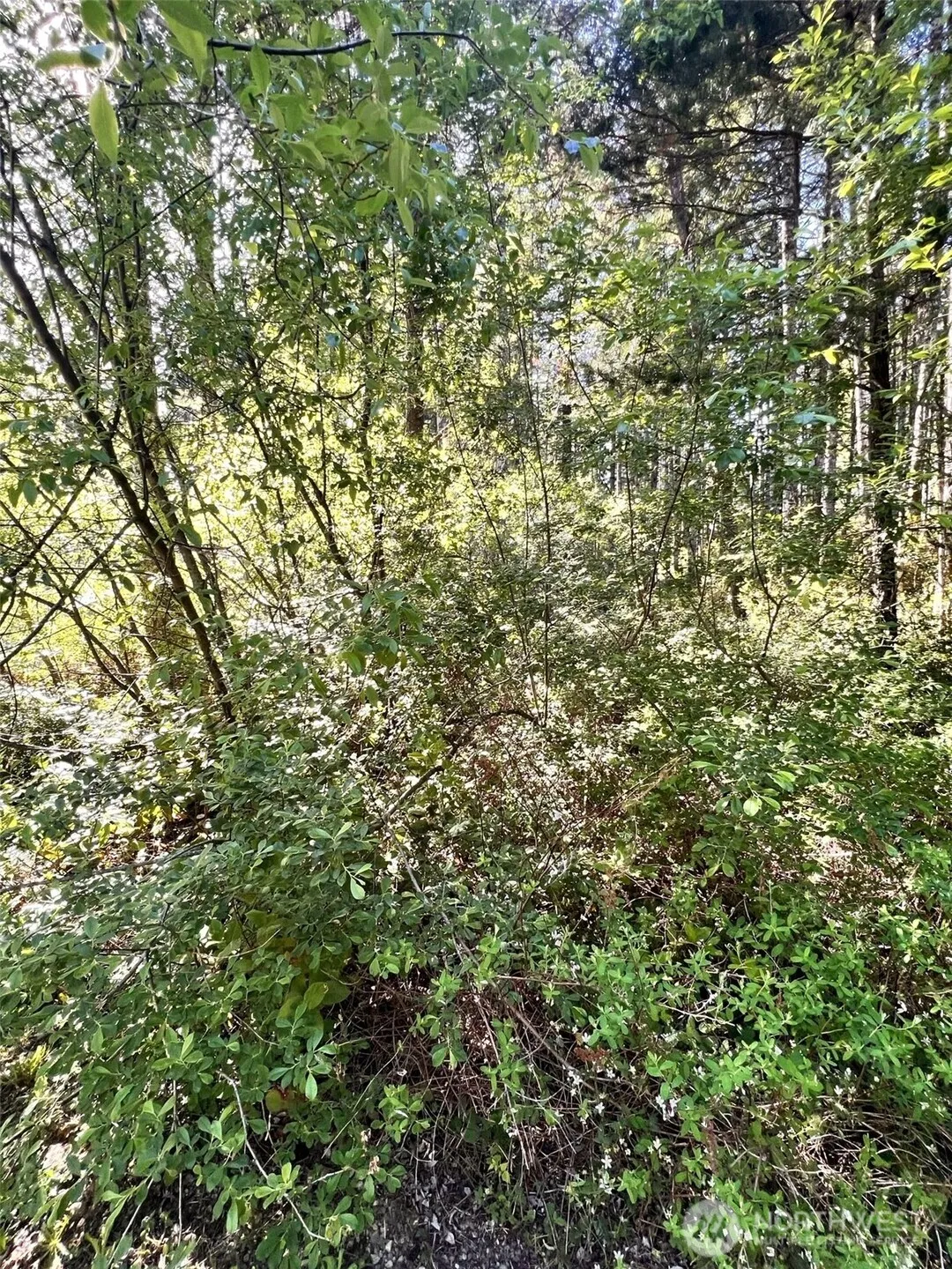 Property photo for 61 Ne Fern Court, Tahuya photo 4