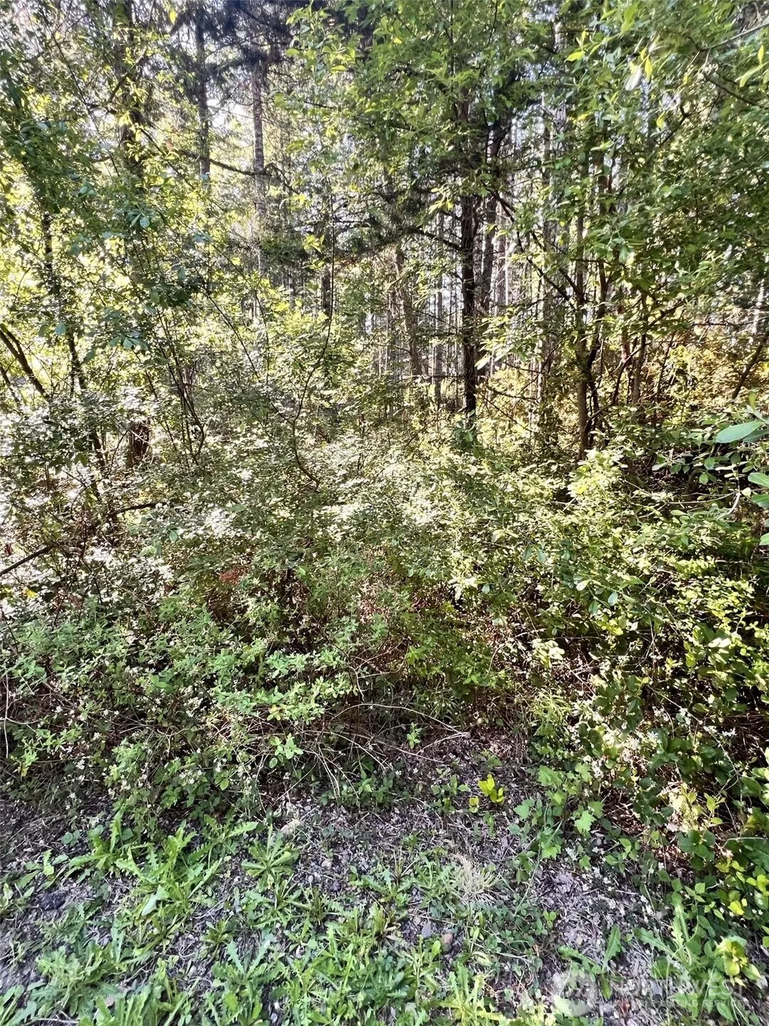 Property photo for 61 Ne Fern Court, Tahuya photo 3