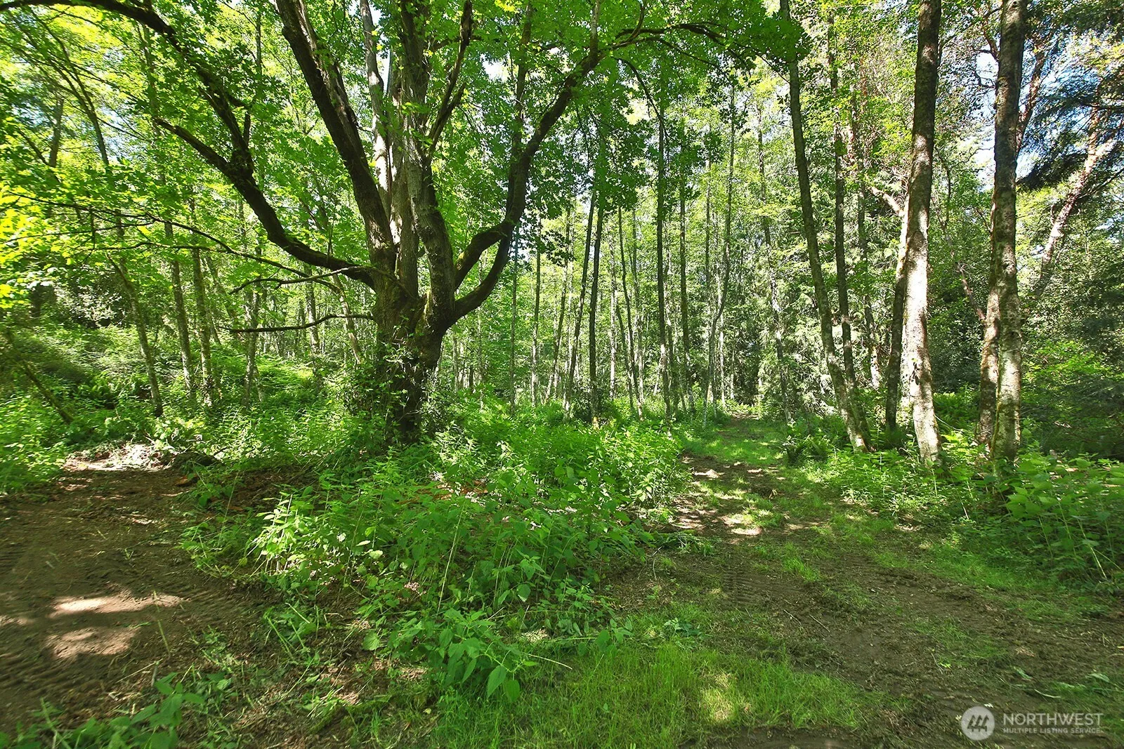 Property photo for 0 Foxglove, Langley