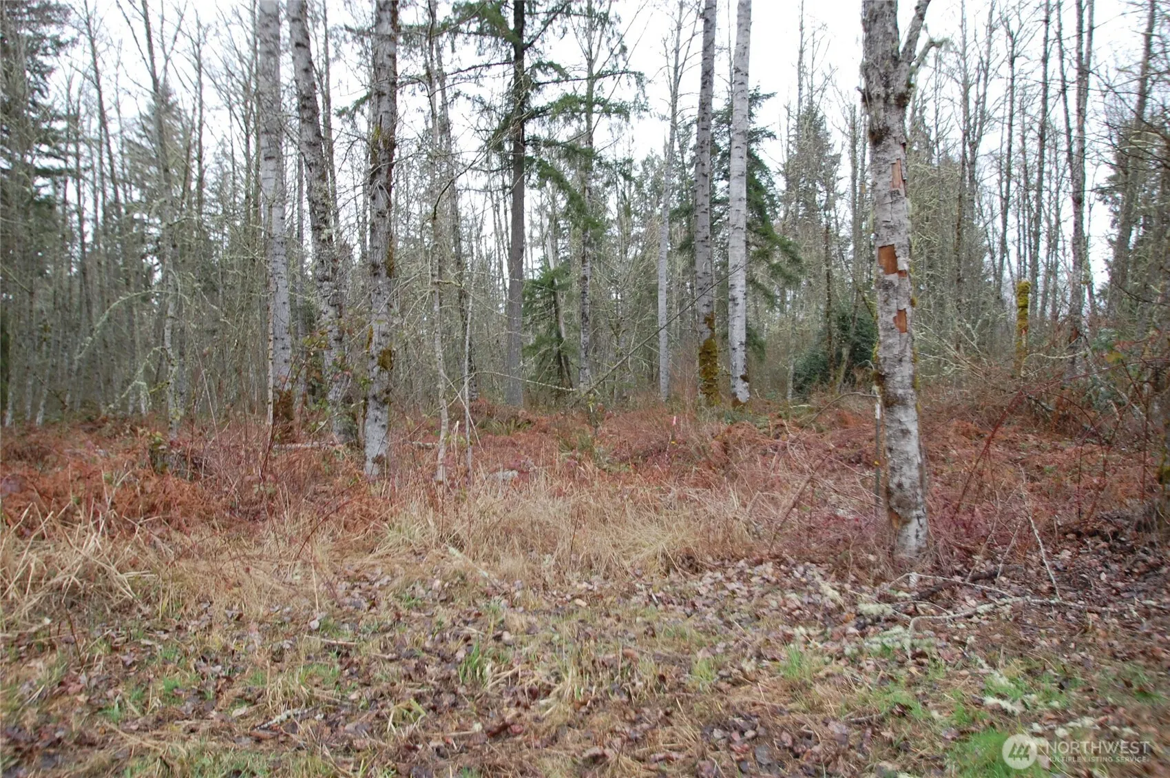 Property photo for 31809 116th Avenue E, Graham