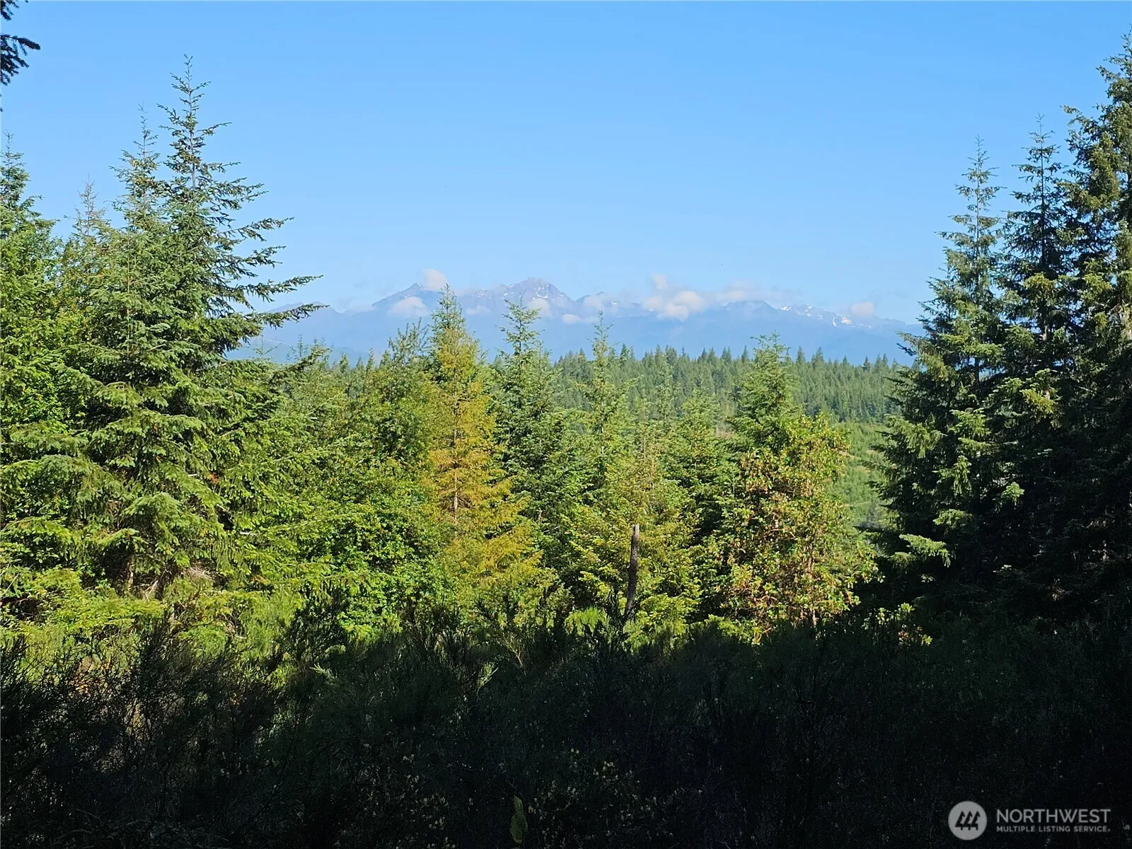 Property photo for 400 Xxx Southridge Drive, Belfair