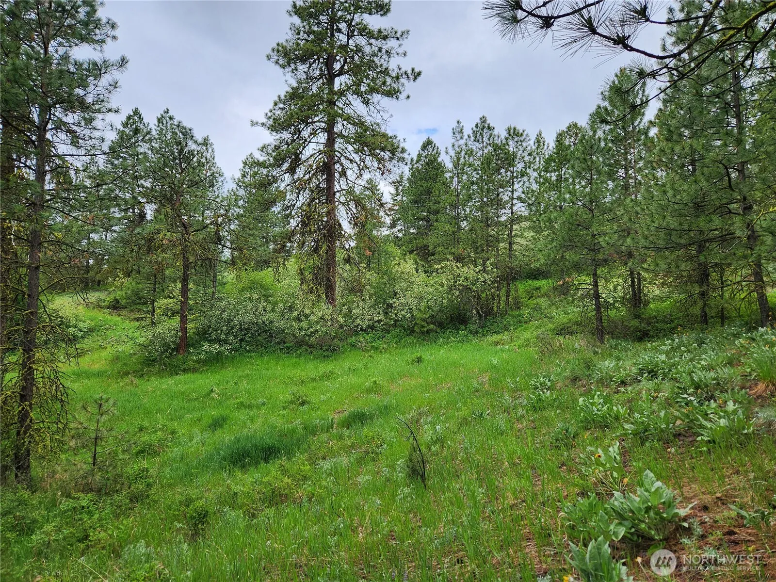 Property photo for 0 74 & 75 Gold Mt. Road, Republic