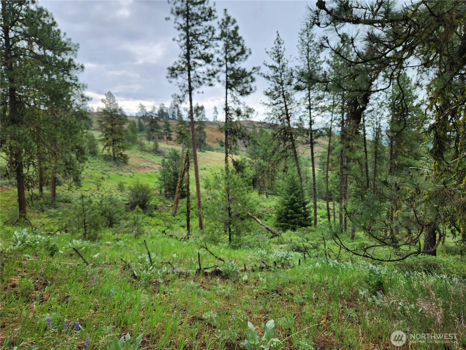 Property photo for 0 74 & 75 Gold Mt. Road, Republic photo 2
