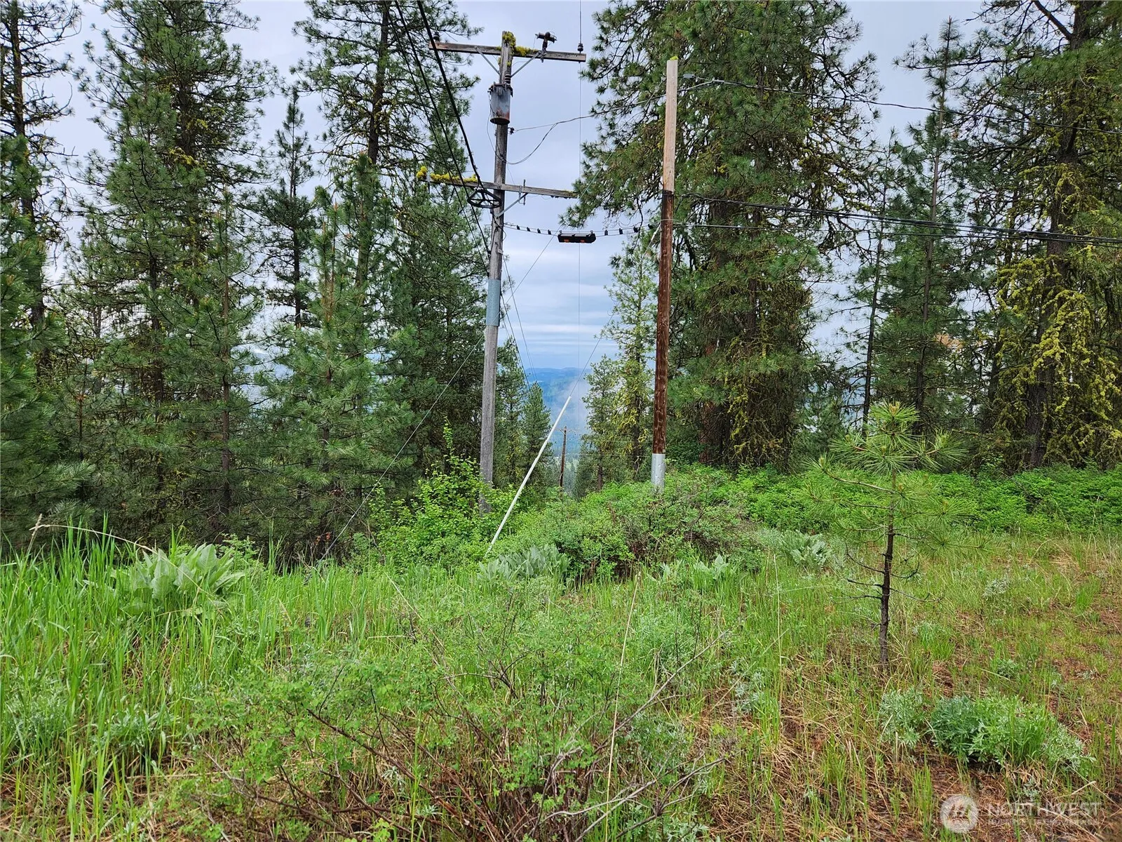 Property photo for 0 74 & 75 Gold Mt. Road, Republic photo 4