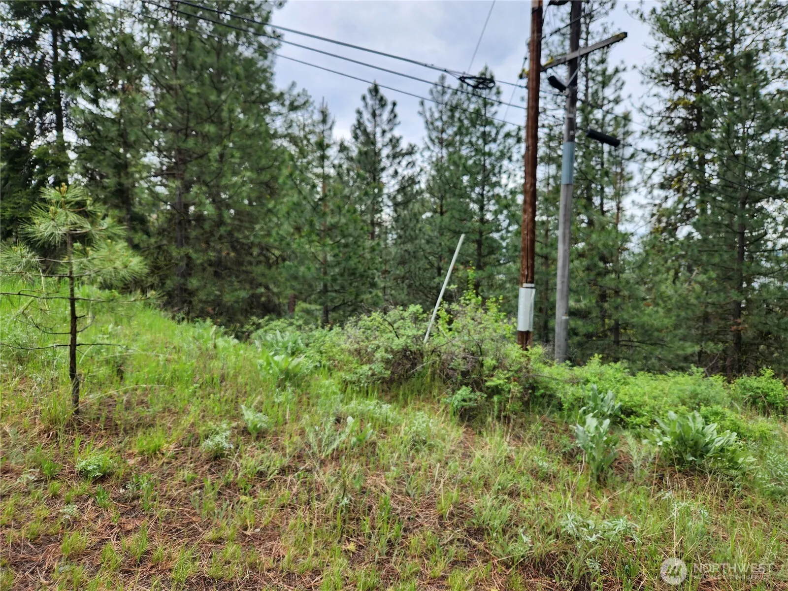 Property photo for 0 74 & 75 Gold Mt. Road, Republic photo 5