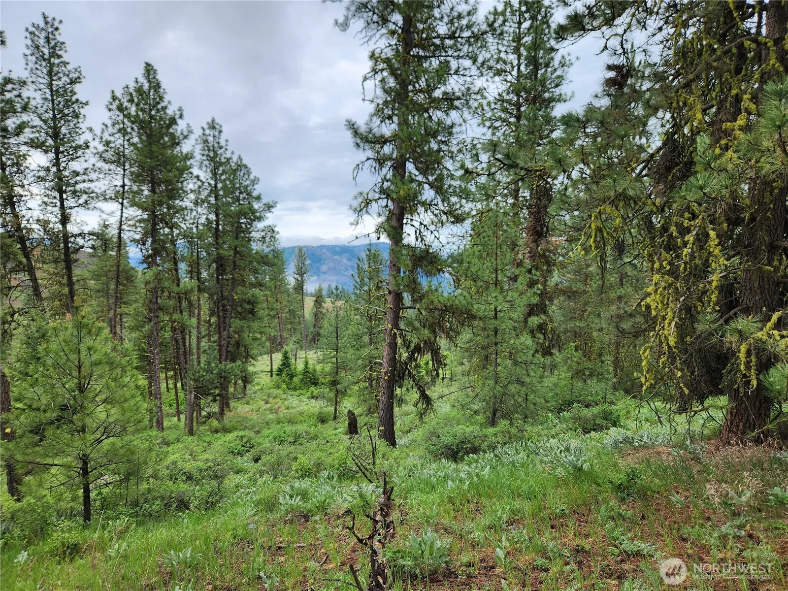 Property photo for 0 74 & 75 Gold Mt. Road, Republic photo 3