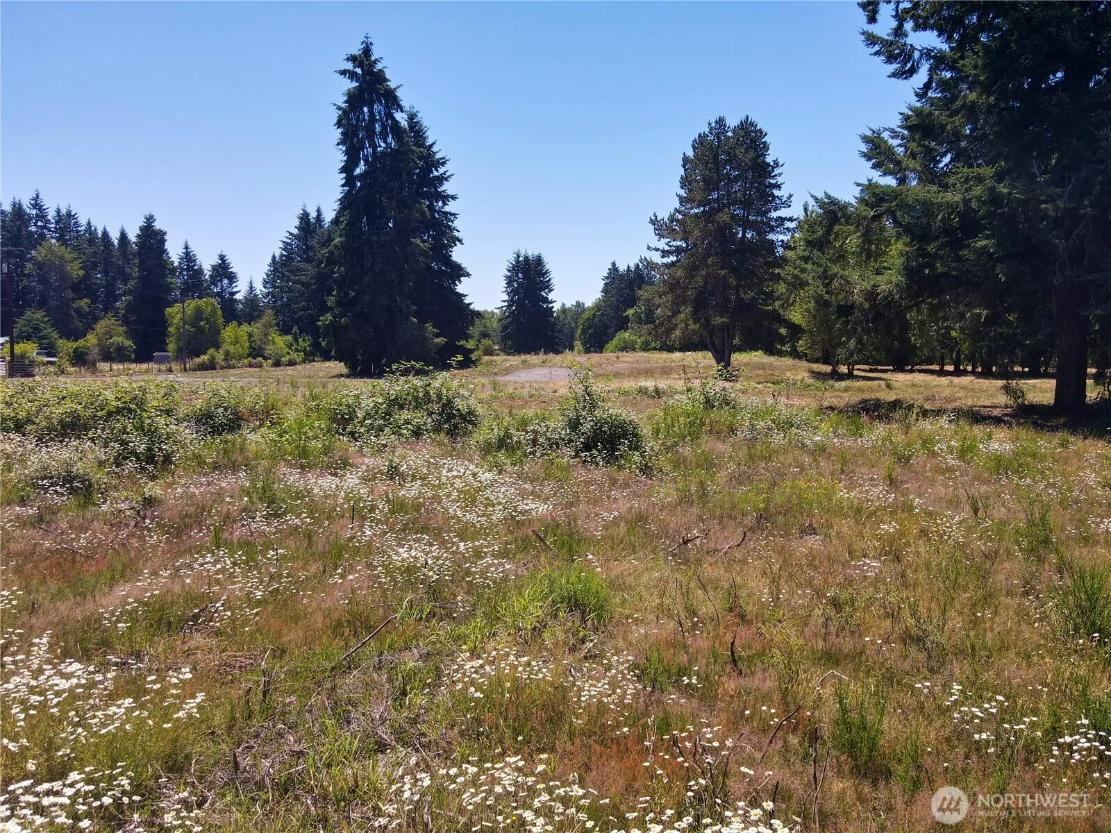 Property photo for 108 Mocha Lane, Centralia
