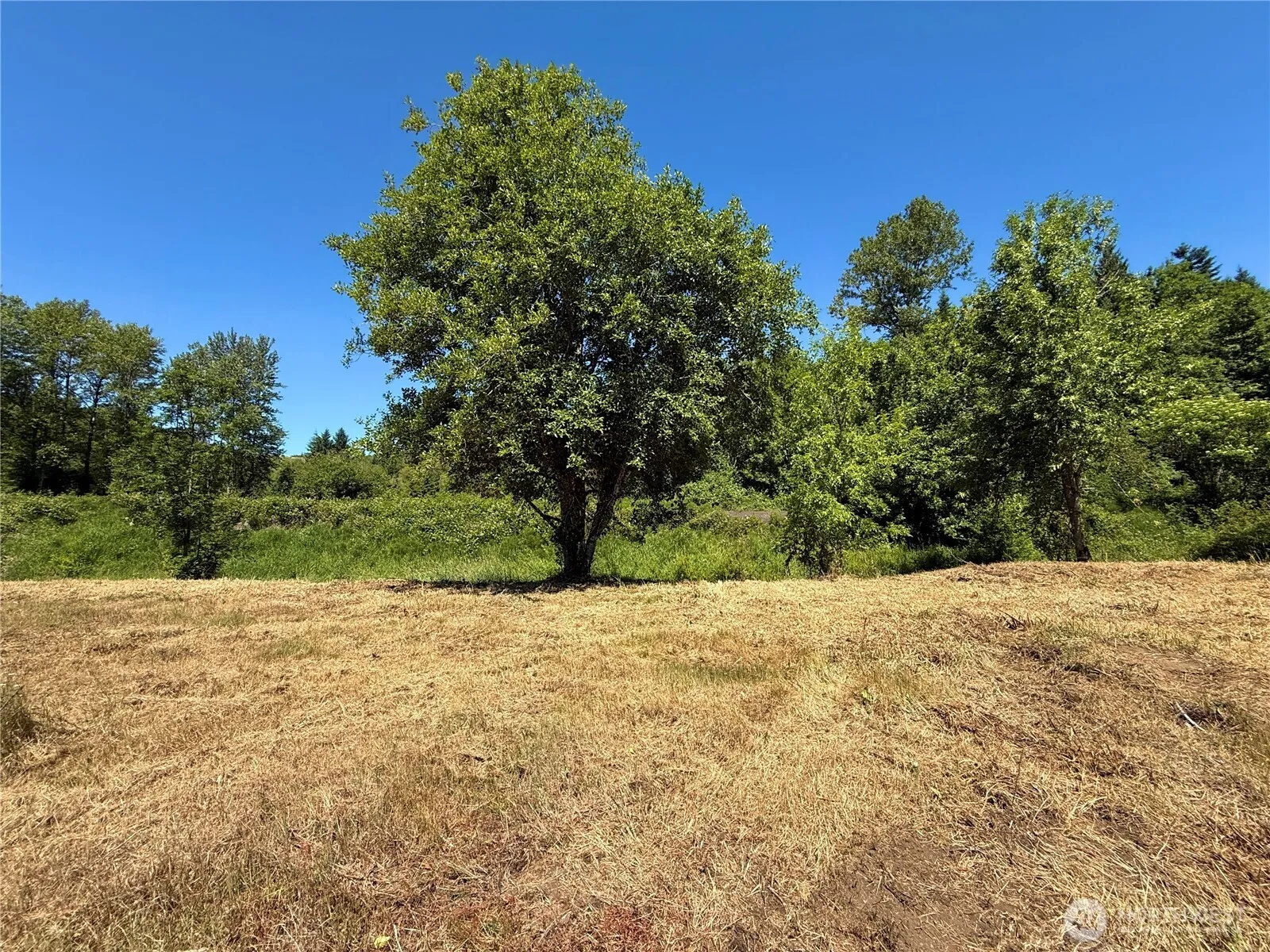 Property photo for 102 Mocha Lane, Centralia