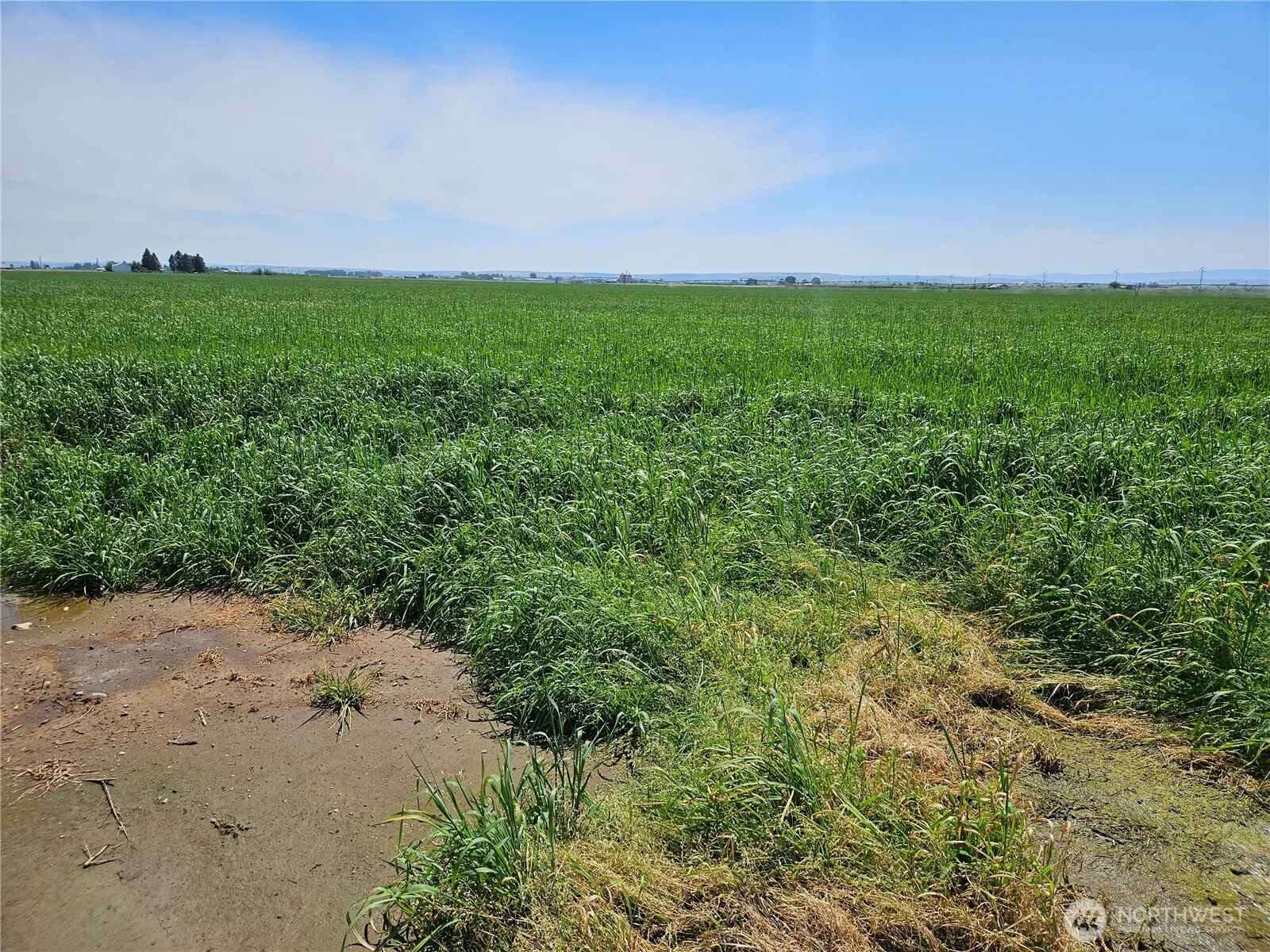 Property photo for 314184000 Highway 281, Quincy