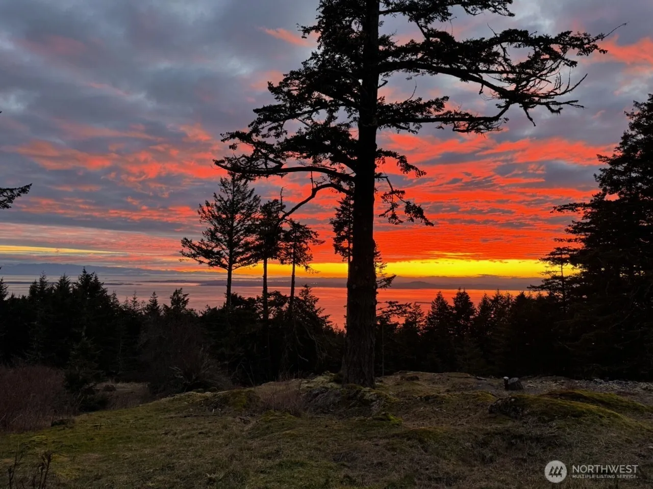Property photo for 30 Rascal Road, Friday Harbor