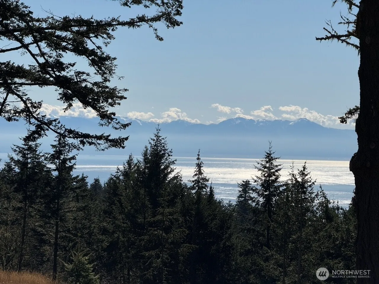 Property photo for 30 Rascal Road, Friday Harbor photo 4