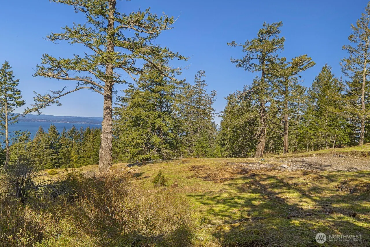 Property photo for 30 Rascal Road, Friday Harbor photo 3